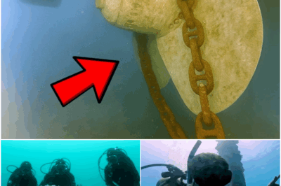 Diver Spots Chain Stuck on Propeller, What He Found on the Other End Froze Him!