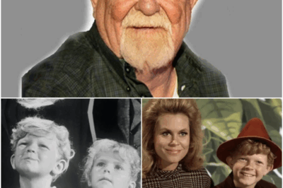 ⚡ After 50 Years, Johnny Whitaker Reveals What Really Happened to Anissa Jones