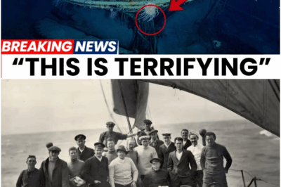 Underwater Robots Find Shackleton’s Endurance Shipwreck in Antarctic What They Saw Is TERRIFYING