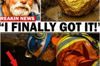 🧿 They Finally Found It! Oak Island’s Biggest Mystery EXPOSED at Last: c, and Explosive Conflicts That Will Shake History to Its Core! 💥⚔️🕵️‍♂️🧿