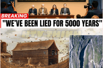 🧿 Unbelievable Discovery Inside Noah’s Ark in Turkey That Shattered Scientific Beliefs Forever – Shocking Revelations, Hidden Secrets, and Controversial Evidence That Terrified the World and Sparked Global Outrage! 🌍🔥🚨