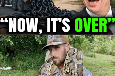 Florida Was Mocked For Releasing HUNDREDS of Rare Snake Killers… The Result Changed Their Minds!