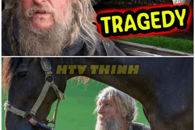 🦊 He Vanished from Mountain Men Without Warning… But What Eustace Conway Is Doing Now In the Deep Woods Has Locals Terrified and Fans Demanding Answers 😱🔥