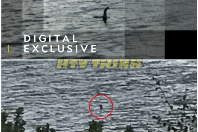 🦊 SCOTLAND’S SEA MONSTER EXPOSED — NEW TECHNOLOGY REVEALS WHAT’S REALLY HIDING IN LOCH NESS 🌊