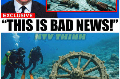 🦊 “BREAKING: Divers Unearth Pharaoh’s Army in the Red Sea — Archaeologists Warn ‘This Is BAD NEWS’ for What Lies Ahead 🏺🔥”