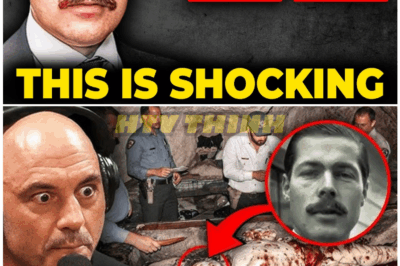 🦊 JUST IN: The Lord Lucan MYSTERY Is OVER After New DNA Bombshell—Authorities STUNNED by What Tests Reveal About the Fugitive Aristocrat’s Fate! 🧬🕵️‍♂️