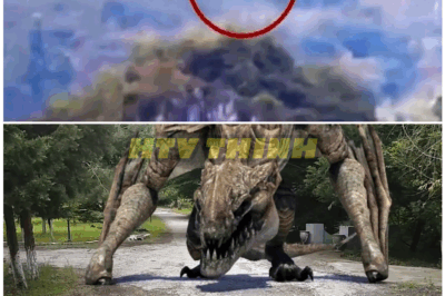 🦊 MYTH NO MORE: 10 SHOCKING Real-Life Dragon Sightings Caught on Tape—Are These Ancient Beasts ACTUALLY Alive?! 🐉😱