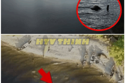 🦊 TOP-SECRET Loch Ness DRONE Program LEAKED—What LNE Captured Is Too DISTURBING to Ignore! 🚁