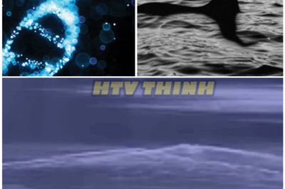 🦊 DOUBLE MONSTER BOMBSHELL: Shocking New Footage Suggests There’s Not Just ONE Nessie — But TWO — and Scientists Are Stunned 😱
