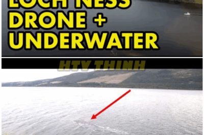 🦊 BREAKING: Raw Drone Footage Over Loch Ness Reveals Terrifying MASSIVE Creature Just Below the Surface — Experts Left Speechless 🎥