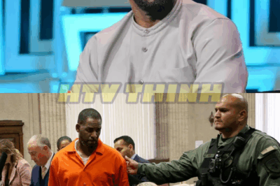Diddy’s Final Plea REJECTED — Judge Delivers Harsh Reality