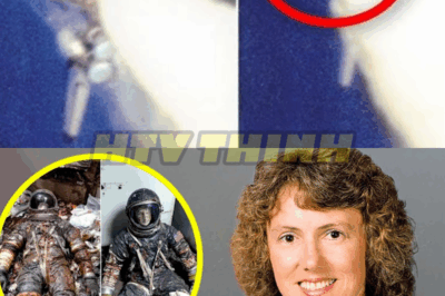 What Happened to the Bodies of the Challenger Disaster Crew