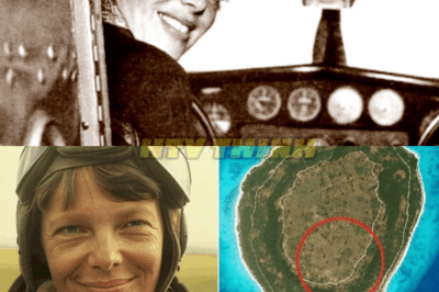 Amelia Earhart’s Plane was Just Found! The Location Will Shock You