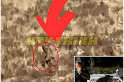 🐿️😱 Two Veterans Share The Most Terrifying BIGFOOT Stories Ever Told — 🌲 Shocking Encounters, Chilling Confessions, And Dark Secrets From The Wilderness That Left Even Battle-Hardened Soldiers Shaken 🔥