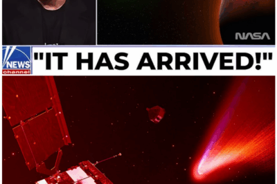 🧿 Elon Musk Issues Terrifying Alert: “ALIEN SHIP 3I/ATLAS Is Approaching Earth — Scientists FEAR Humanity’s End Is Near!” 😱🚀