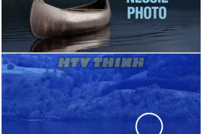 🦊 “Is THIS the Proof of Nessie Everyone Missed? Mysterious New Evidence Emerges After Decades of Denials—Experts in Total Shock 🌊”