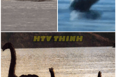 🦊 “Buried for Decades, Now Exposed: The Most Convincing Loch Ness Monster Evidence Ever Captured — Why Experts Are Divided and Officials Are Staying Silent 📹🦕”