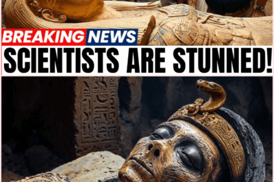 Unearthed Wonders: The Shocking Secrets of Untouched Tombs That Defy Time!