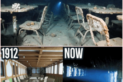 Titanic’s Hidden Deck: The Haunting Secrets of the Forgotten Middle Floor