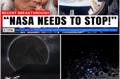 🌕⚠️ Michio Kaku Issues a Terrifying Warning After NASA’s Live Moon Feed Went Dark…