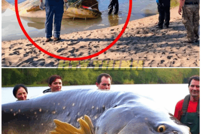 🦊 MASSIVE CATCH TURNS INTO TERRIFYING MYSTERY — Fisherman Reels in Monster Fish, But What He Found Inside LEFT HIM FROZEN 🎣😱💀