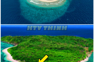 🦊 Fisherman Stumbles Upon Mysterious Island No One Knew Existed – What He Found There Left Him Frozen in Terror! 😱