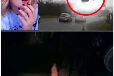🦊 12 Disturbing Dashcam Moments That Shouldn’t Exist — Police, Paranormal, and Pure Terror Caught in Real Time 🚨😱