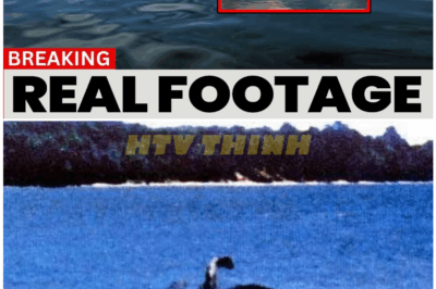 🦊 BREAKING: New Footage of the Lake Champlain Monster Has Viewers STUNNED—Experts Call It “Terrifyingly Real” and Unlike Anything Seen Before 🎥😱