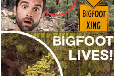 🦊 “13 Bigfoot Sightings That SHOCKED the World — Terrifying Encounters, Chilling Footage, and Proof the Legend Might Be REAL 😱🌲”