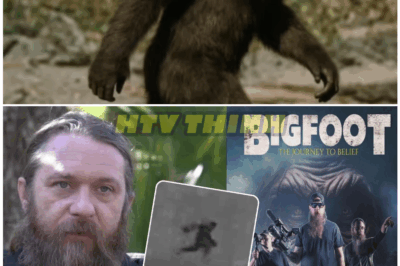 🦊 BREAKING: Finding Bigfoot in the Pacific Northwest—What Hunters Discovered Will Leave You SHOCKED and Questioning Reality! 😱🌲