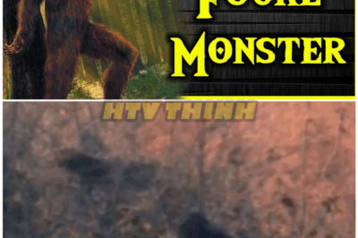 🦊 The Beast Beneath the Bayou: New Sightings Rekindle the Chilling Truth About the Fouke Monster — And It’s Worse Than Ever 🐾😱