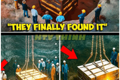 🦊 OAK ISLAND’S STUNNING DISCOVERY SHAKES THE WORLD — OFFICIAL EXCAVATION UNCOVERS SOMETHING SO POWERFUL, SO UNBELIEVABLE, AUTHORITIES ARE TRYING TO SHUT IT DOWN! 💥🕵️‍♂️