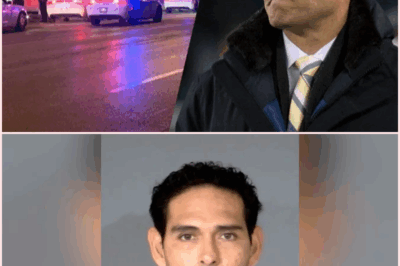 The Night Mark Sanchez Snapped — The Truth No One Saw Coming