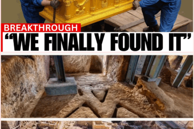 The Forbidden Discovery: Did Archaeologists Just Unearth the Real Ark of the Covenant?