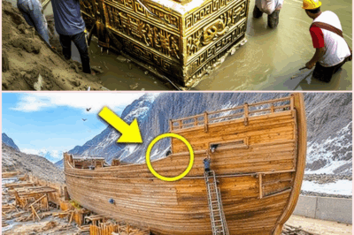 Inside Noah’s Ark: The Terrifying Discoveries That Challenge Everything We Thought We Knew!