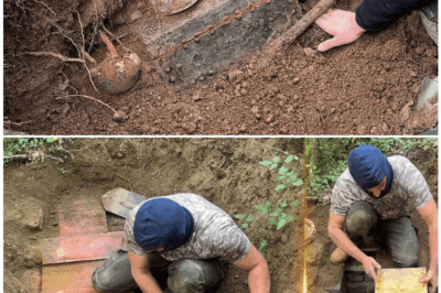 🦊 We Unearthed a Buried Treasure That Could Shatter Everything We Know About History—Archaeologists Are Freaking Out Over This Mind-Blowing Discovery ❗️🏺