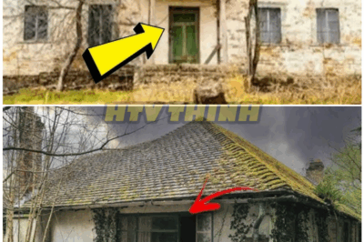 🦊 The 30-Year-Old Abandoned House HORROR: What They Found Behind the Door Left Even Investigators SHAKING — “It Should Have Stayed Locked Forever” 🏚️😱