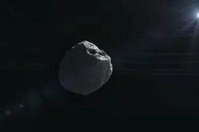 🐻 Six-Year-Old Vanished in 1987 — 36 Years Later, a Basement Wall Revealed the Truth No One Was Ready For