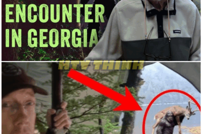 🦊 HUNTER’S SHOCKING BIGFOOT ENCOUNTER IN GEORGIA — ADAM DAVIES BREAKS SILENCE AFTER 13 YEARS OF SECRECY 😱
