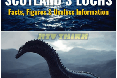 🦊 Beneath the Surface of Loch Ness: Rick Steves’ Wholesome Tour Leaves Out a TERRIFYING Local Secret… 🌊