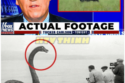 🦊 LOCH NESS MONSTER PROVEN REAL? New Evidence ROCKS the Scientific World — What They Found CHANGES EVERYTHING 🌍🦕💣