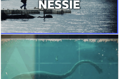 🦊 Search for the Loch Ness Monster: Eyewitness Accounts of Nessie from 1965 Reveal Chilling Details Authorities Tried to Bury 😱🌊
