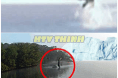 🦊 LOCH NESS BOMBSHELL: Creature Caught on Camera—Experts SHOCKED by Chilling Footage! 📹