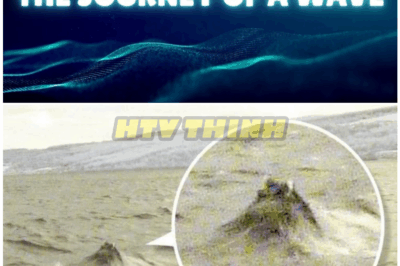 🦊 Phantom Waves STRIKE Loch Ness: No Boats, No Wind, No Explanation — Is Something MASSIVE Moving Beneath the Surface? 🌊👁️