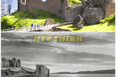 🦊 “Banned Footage? The 1996 Loch Ness Monster Sighting That Shook Inverness — And the Film Authorities Tried to Bury Forever 🎥🦕”