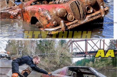 LOST TREASURE OR TRAGIC CLUE? Vintage Jaguar MK2, Valued at $80,000, Reemerges from River Depths at Obscure Boat Ramp
