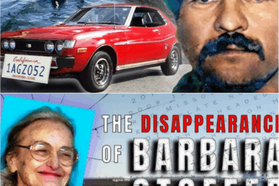 The Case That Wouldn’t Die: How New DNA Evidence Is Breathing Life Into a 32-Year-Old Mystery