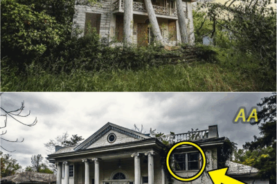 “What Investigators Found Inside This Abandoned Mansion Has Left the Entire World in Shock”