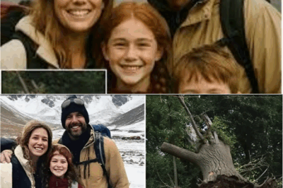 Family Vanished in Great Smoky Mountains — Nine Years Later Remains Found Beneath Fallen Tree