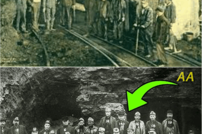 The Forgotten Faces of 1907: The Haunting Detail Hidden in an Old Coal Miner Photo That Shocked Experts Worldwide